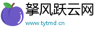 拏风跃云网